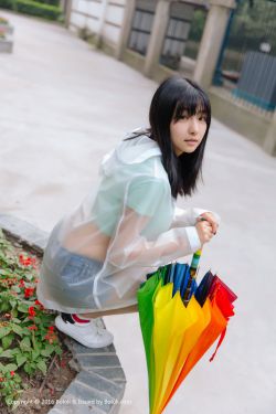 叮叮猫