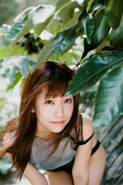 美人鱼婚纱照