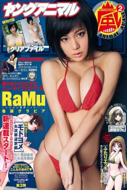 国家行动电视剧