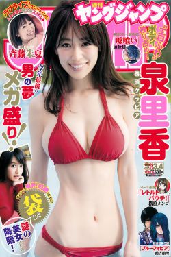 徐少华个人资料简介