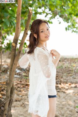 白夜追凶第一季在线观看免费观看