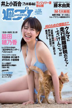 爱没有错电视剧36集免费观看