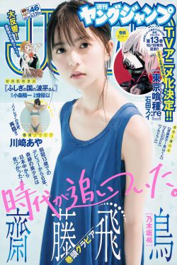 花好月又圆电视剧免费观看完整版
